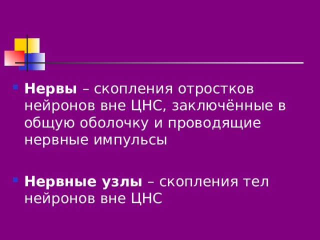 Нервы – скопления отростков нейронов вне ЦНС, заключённые в общую оболочку и проводящие нервные импульсы Нервные узлы – скопления тел нейронов вне ЦНС 