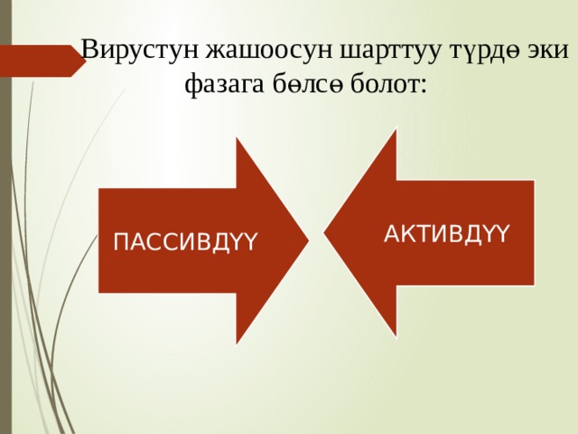 ПАССИВДҮҮ АКТИВДҮҮ  Вирустун жашоосун шарттуу түрдө эки фазага бөлсө болот:    
