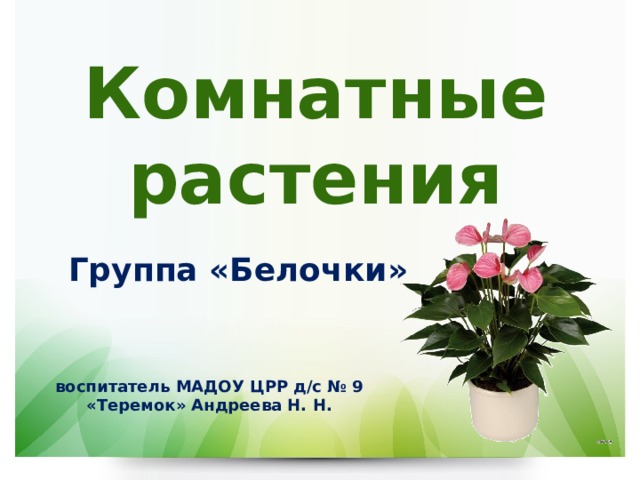Комнатные растения  Группа «Белочки»    воспитатель МАДОУ ЦРР д/с № 9 «Теремок» Андреева Н. Н. 