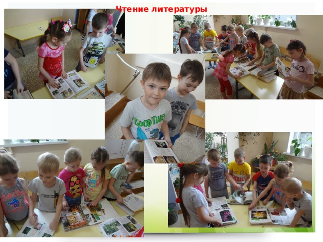 Чтение литературы 
