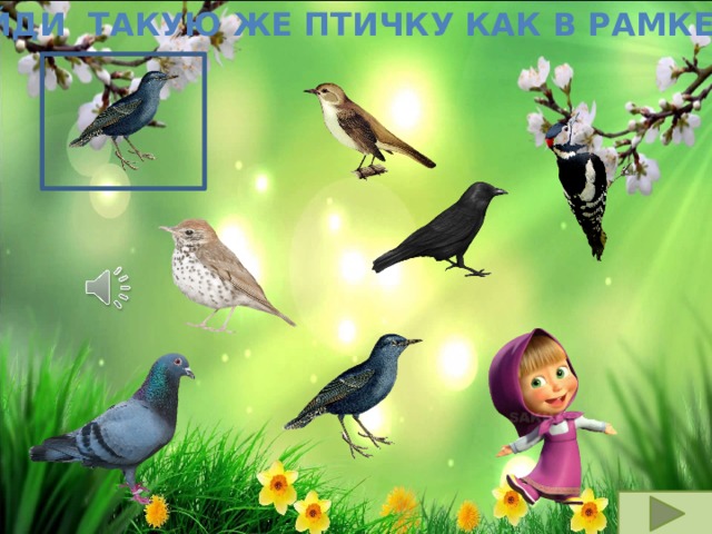 Найди такую же птичку как в рамке 