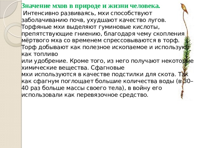 Значение мхов в природе и жизни человека.  Интенсивно развиваясь, мхи способствуют заболачиванию почв, ухудшают качество лугов. Торфяные мхи выделяют гуминовые кислоты, препятствующие гниению, благодаря чему скопления мёртвого мха со временем спрессовываются в торф. Торф добывают как полезное ископаемое и используют как топливо  или удобрение. Кроме того, из него получают некоторые химические вещества. Сфагновые  мхи используются в качестве подстилки для скота. Так как сфагнум поглощает большие количества воды (в 30–40 раз больше массы своего тела), в войну его использовали как перевязочное средство.          