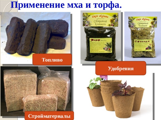 Применение мха и торфа. Топливо Удобрения Стройматериалы 
