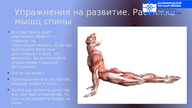 Упражнения на развитие. Растяжка мышц спины Эта растяжка дает ощутимый эффект — главное, не переусердствовать. Если вы чувствуете боль или дискомфорт в шее, то, вероятно, вы выполняете упражнение слишком интенсивно. Лягте на живот. Приподнимитесь на локтях, прижав живот к полу. Затем распрямите руки так же, как при отжимании, но при этом держите бедра на полу. Задержитесь на 30 секунд, повторите 3 раза. 