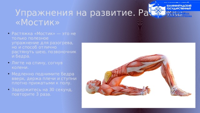 Упражнения на развитие. Растяжка «Мостик» Растяжка «Мостик» — это не только полезное упражнение для разогрева, но и способ отлично растянуть шею, позвоночник и бедра. Лягте на спину, согнув колени. Медленно поднимите бедра вверх, держа плечи и ступни плотно прижатыми к полу. Задержитесь на 30 секунд, повторите 3 раза. 