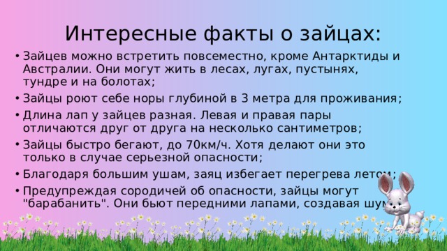 Интересные факты о зайцах: Зайц ев можно встретить повсеместно, кроме Антарктиды и Австралии. Они могут жить в лесах, лугах, пустынях, тундре и на болотах ; Зайцы роют себе норы глубиной в 3 метра для проживания ; Длина лап у зайцев разная. Левая и правая пары отличаются друг от друга на несколько сантиметров ; Зайцы быстро бегают, до 70км/ч. Хотя делают они это только в случае серьезной опасности ; Благодаря большим ушам, заяц избегает перегрева летом ; Предупреждая сородичей об опасности, зайцы могут 