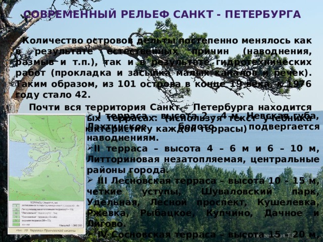  современный рельеф санкт - Петербурга  Количество островов дельты постепенно менялось как в результате естественных причин (наводнения, размыв и т.п.), так и в результате гидротехнических работ (прокладка и засыпка малых каналов и речек). Таким образом, из 101 острова в конце 19 века, к 1976 году стало 42.  Почти вся территория Санкт – Петербурга находится на ступенчатых террасах: (используя текст учебника составьте характеристику каждой террасы)  I терраса – высота 2 – 4 м, Невская губа, Лахтинское болото, подвергается наводнениям. II терраса – высота 4 – 6 м и 6 – 10 м, Литториновая незатопляемая, центральные районы города.  III Лесновская терраса – высота 10 – 15 м, четкие уступы, Шуваловский парк, Удельная, Лесной проспект, Кушелевка, Ржевка, Рыбацкое, Купчино, Дачное и Лигово.  IV Сосновская терраса – высота 15 – 20 м, и плавно примыкающая к ней V терраса высотой 20 – 30 м, Сосновка, Гражданка, Шувалово, Мурино, Пулково. Самые высокие районы Парголово (60 м), Пулково (75 м).  Алексеевская Т.В. 
