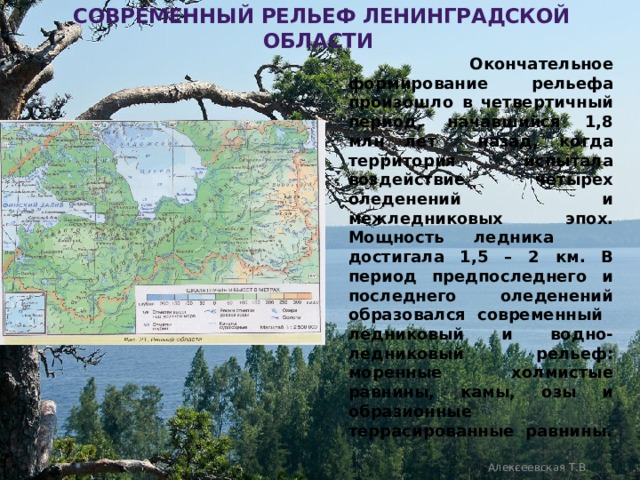  современный рельеф ленинградской области  Окончательное формирование  рельефа произошло в четвертичный  период, начавшийся 1,8 млн лет  назад, когда территория испытала  воздействие четырех оледенений и межледниковых эпох. Мощность ледника достигала 1,5 – 2 км. В период предпоследнего и последнего оледенений образовался современный  ледниковый и водно-ледниковый  рельеф: моренные холмистые равнины,  камы, озы и образионные террасированные равнины. Алексеевская Т.В. 