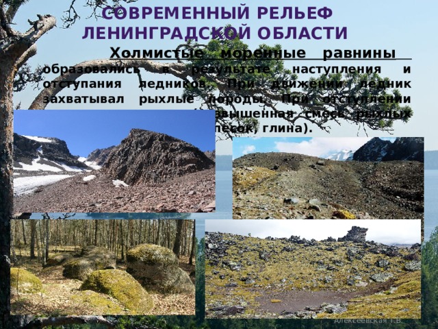  современный рельеф ленинградской области  Холмистые моренные равнины  образовались в результате наступления и отступания ледников. При движении ледник захватывал рыхлые породы. При отступлении вытаивала морена (возвышенная смесь рыхлых пород: валуны, галька, песок, глина).  Алексеевская Т.В. 
