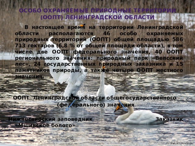 Особо охраняемые природные территории (ООПТ) ленинградской области  В настоящее время на территории Ленинградской области располагаются 46 особо охраняемых природных территорий (ООПТ) общей площадью 586 713 гектаров (6,8 % от общей площади области), в том числе две ООПТ федерального значения, 40 ООПТ регионального значения: природный парк «Вепсский лес», 24 государственных природных заказника и 15 памятников природы, а также четыре ООПТ местного значения.   ООПТ Ленинградской области общегосударственного (федерального) значения  Нижнесвирский заповедник Заказник «Мшинское болото» Алексеевская Т.В. 