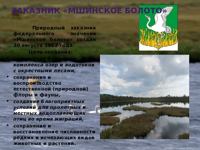 Заказник «Мшинское болото»  Природный заказник федерального значения «Мшинское болото» создан 30 августа 1982 года. Цель создания: сохранение болотного комплекса озер и водотоков с окрестными лесами, сохранение и воспроизводство естественной (природной) флоры и фауны, создание благоприятных условий для пролетных и местных водоплавающих птиц во время миграций, сохранение и восстановление численности редких и исчезающих видов животных и растений.   Алексеевская Т.В. 