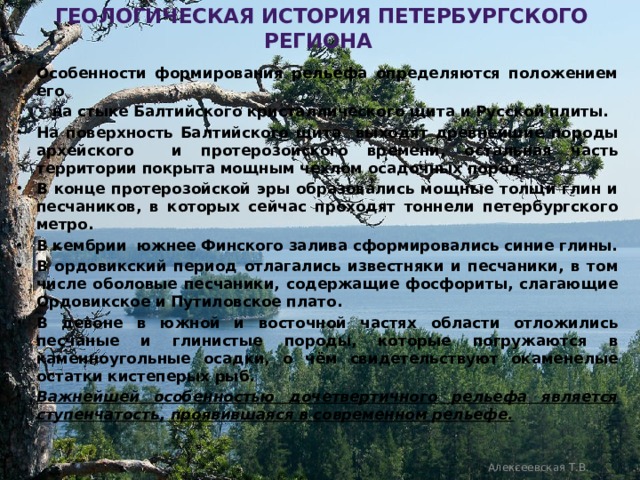  геологическая история петербургского региона Особенности формирования рельефа определяются положением его  на стыке Балтийского кристаллического щита и Русской плиты. На поверхность Балтийского щита выходят древнейшие породы архейского и протерозойского времени, остальная часть территории покрыта мощным чехлом осадочных пород. В конце протерозойской эры образовались мощные толщи глин и песчаников, в которых сейчас проходят тоннели петербургского метро. В кембрии южнее Финского залива сформировались синие глины. В ордовикский период отлагались известняки и песчаники, в том числе оболовые песчаники, содержащие фосфориты, слагающие Ордовикское и Путиловское плато. В девоне в южной и восточной частях области отложились песчаные и глинистые породы, которые погружаются в каменноугольные осадки, о чём свидетельствуют окаменелые остатки кистеперых рыб. Важнейшей особенностью дочетвертичного рельефа является ступенчатость, проявившаяся в современном рельефе. Алексеевская Т.В. 