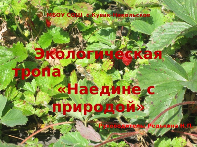 МБОУ СОШ с.Кувак-Никольское      Экологическая тропа «Наедине с природой» Руководитель: Редькина Н.П. 
