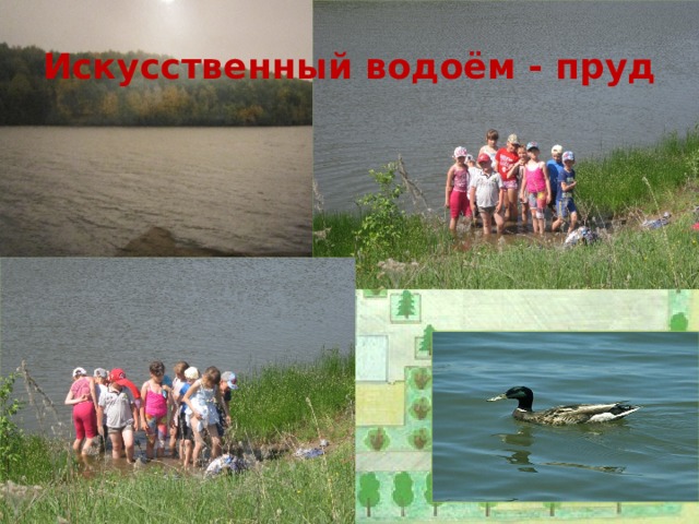 Искусственный водоём - пруд 