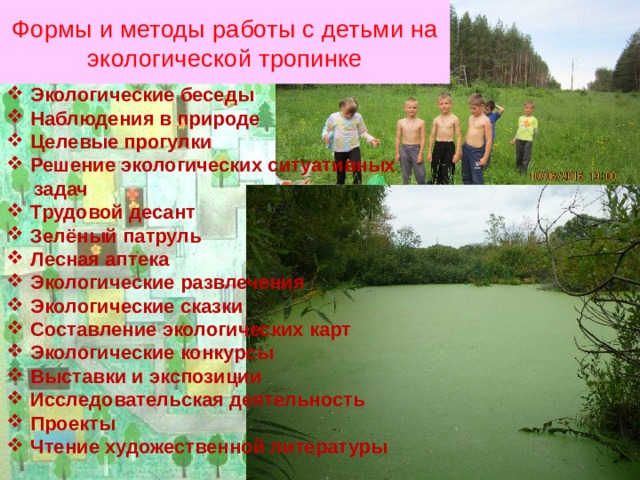 Формы и методы работы с детьми на экологической тропинке Экологические беседы Наблюдения в природе Целевые прогулки Решение экологических ситуативных  задач Трудовой десант Зелёный патруль Лесная аптека Экологические развлечения Экологические сказки Составление экологических карт Экологические конкурсы Выставки и экспозиции Исследовательская деятельность Проекты Чтение художественной литературы  