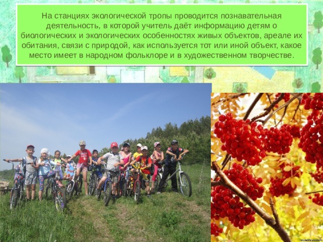 На станциях экологической тропы проводится познавательная деятельность, в которой учитель даёт информацию детям о биологических и экологических особенностях живых объектов, ареале их обитания, связи с природой, как используется тот или иной объект, какое место имеет в народном фольклоре и в художественном творчестве. 
