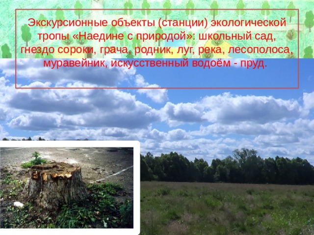 Экскурсионные объекты (станции) экологической тропы «Наедине с природой»: школьный сад, гнездо сороки, грача, родник, луг, река, лесополоса, муравейник, искусственный водоём - пруд.    