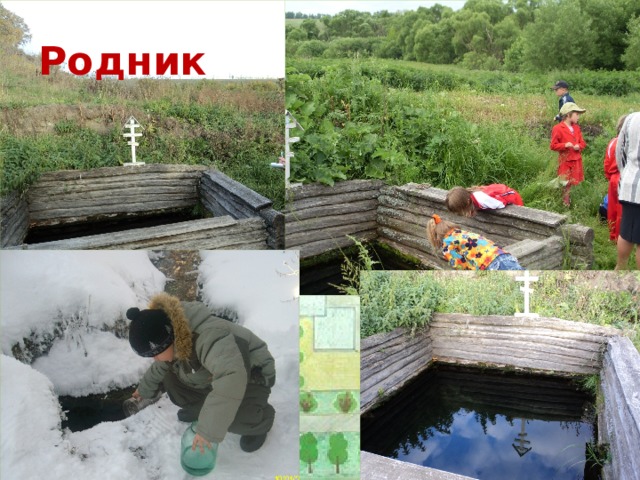 Родник 