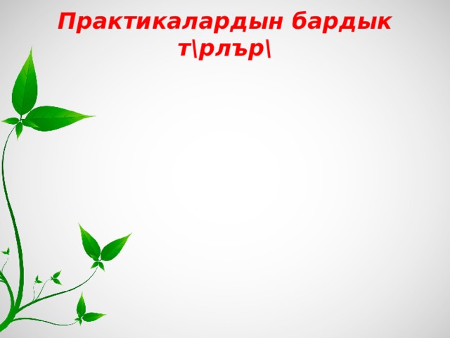 Практикалардын бардык т\рлър\ 