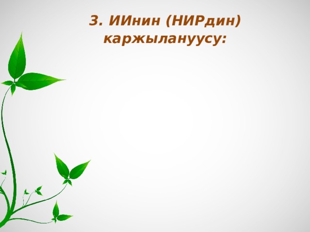 3. ИИнин (НИРдин) каржылануусу:   