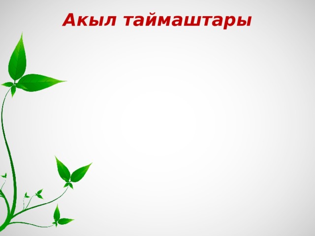 Акыл таймаштары 