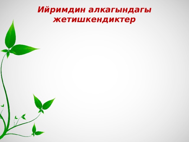 Ийримдин алкагындагы жетишкендиктер 