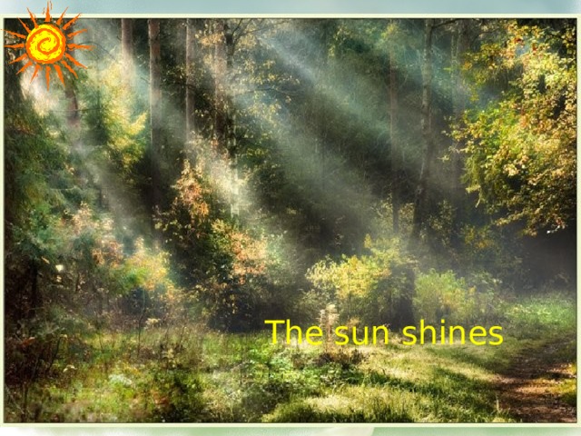 The  sun shines 
