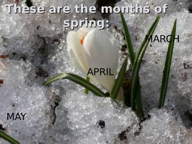 These are the months of spring: MARCH APRIL MAY 