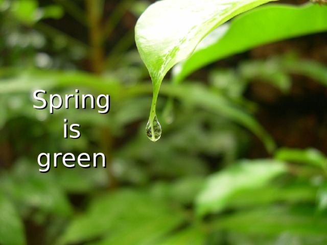Spring is green 