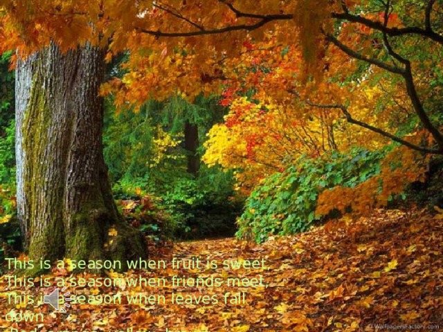 This is a season when fruit is sweet,  This is a season when friends meet,  This is a season when leaves fall down   Red, orange, yellow, brown. 