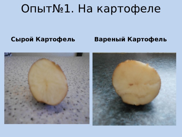 Опыт№1. На картофеле Сырой Картофель Вареный Картофель 