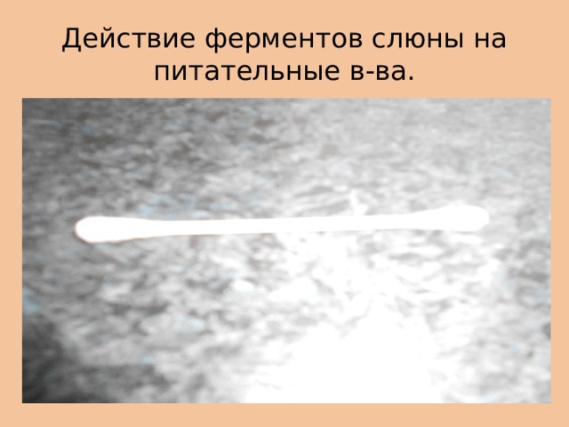 Действие ферментов слюны на питательные в-ва. 