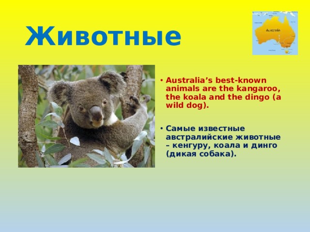 Животные  Australia’s best-known animals are the kangaroo, the koala and the dingo (a wild dog).  Самые известные австралийские животные – кенгуру, коала и динго (дикая собака). 