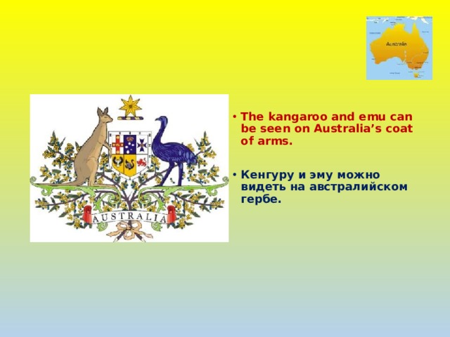  The kangaroo and emu can be seen on Australia’s coat of arms.  Кенгуру и эму можно видеть на австралийском гербе. 