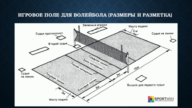 Игровое поле для волейбола (размеры и разметка)    