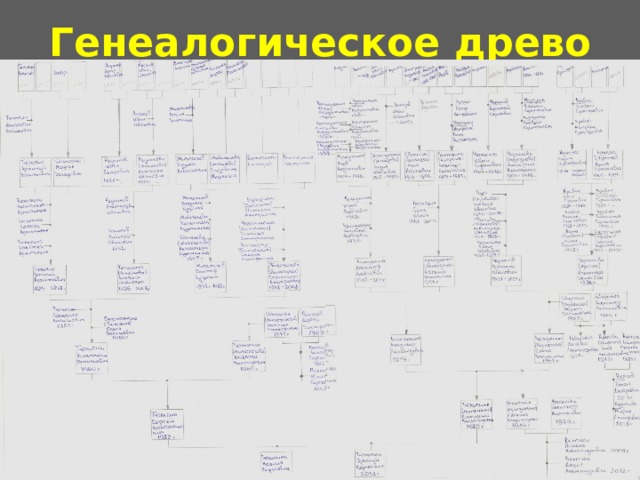 Генеалогическое древо