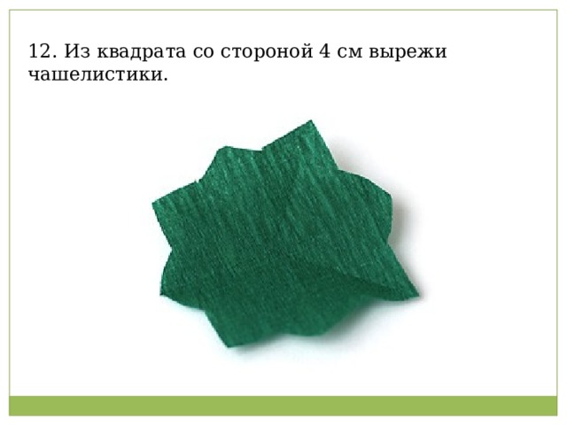 12. Из квадрата со стороной 4 см вырежи чашелистики.   