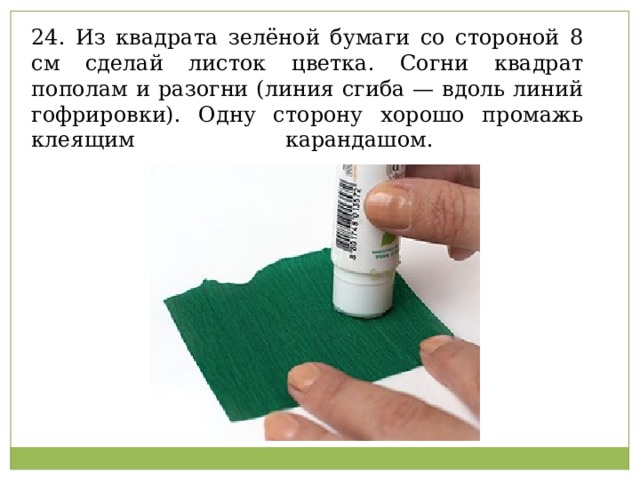 24. Из квадрата зелёной бумаги со стороной 8 см сделай листок цветка. Согни квадрат пополам и разогни (линия сгиба — вдоль линий гофрировки). Одну сторону хорошо промажь клеящим карандашом.   