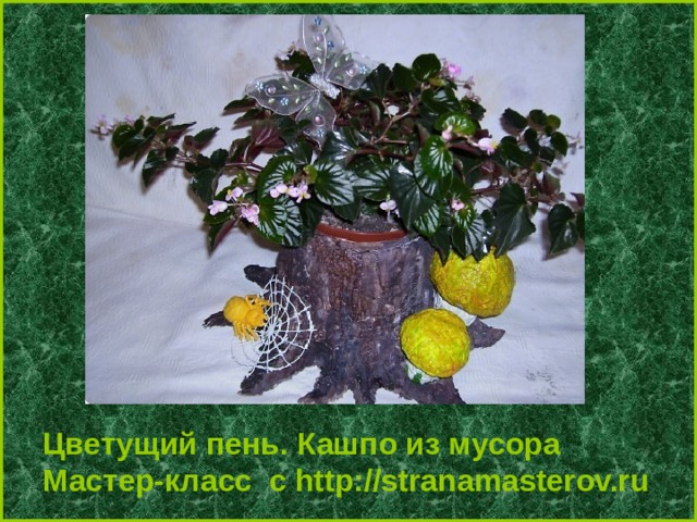 Цветущий пень. Кашпо из мусора Мастер-класс с http://stranamasterov.ru 