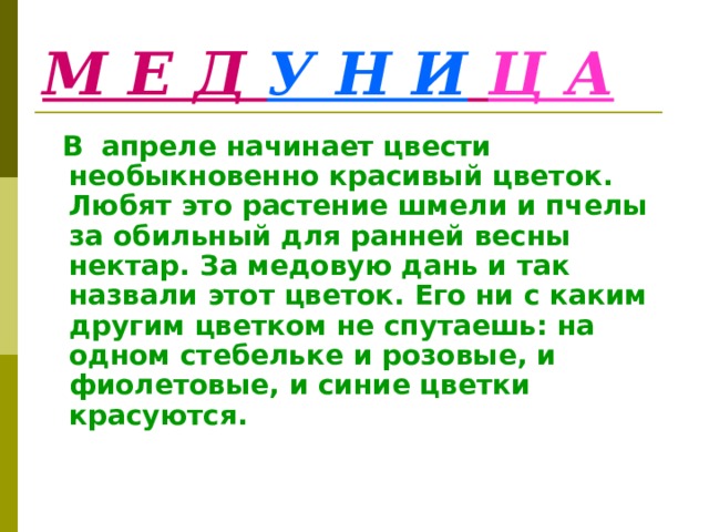 М Е Д У Н И  Ц А  В апреле начинает цвести необыкновенно красивый цветок. Любят это растение шмели и пчелы за обильный для ранней весны нектар. За медовую дань и так назвали этот цветок. Его ни с каким другим цветком не спутаешь: на одном стебельке и розовые, и фиолетовые, и синие цветки красуются. 