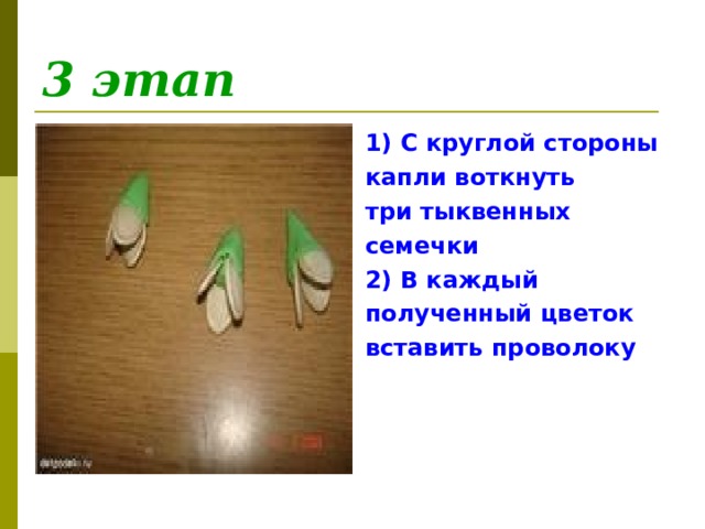 3 этап 1) С круглой стороны капли воткнуть три тыквенных семечки 2) В каждый полученный цветок вставить проволоку  