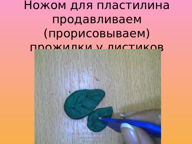 Ножом для пластилина продавливаем (прорисовываем) прожилки у листиков учитель ИЗО Шишлянникова Е.В. гимназия №8 г. Дубна Московская обл. 