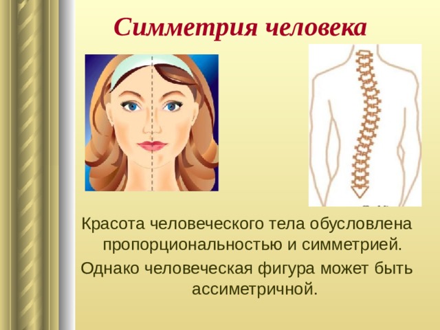 Симметрия человека Красота человеческого тела обусловлена пропорциональностью и симметрией. Однако человеческая фигура может быть ассиметричной. 