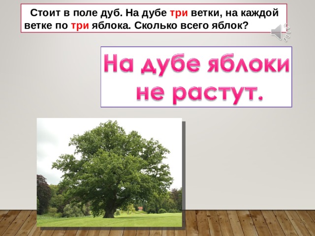  Стоит в поле дуб. На дубе три ветки, на каждой ветке по три яблока. Сколько всего яблок? 