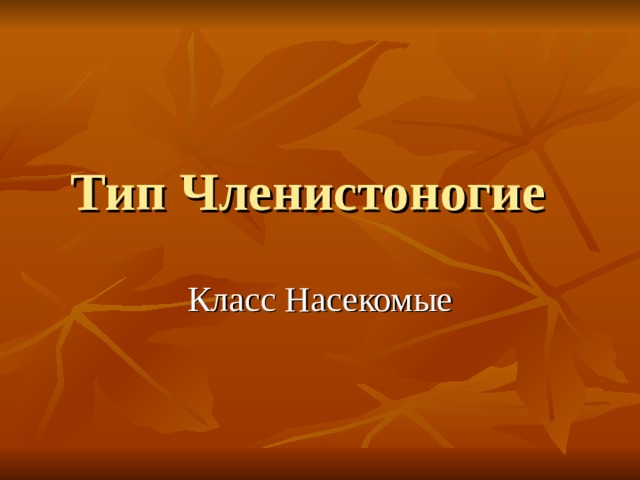 Тип Членистоногие  Класс Насекомые 