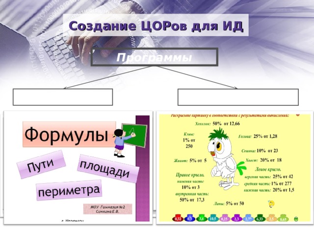 Создание ЦОРов для ИД Программы Notebook Adobe Flash  