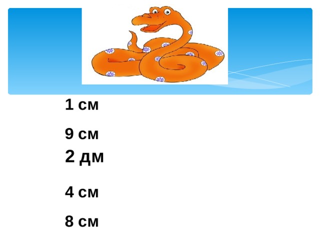 1 см 9 см  4 см 8 см 2 дм 