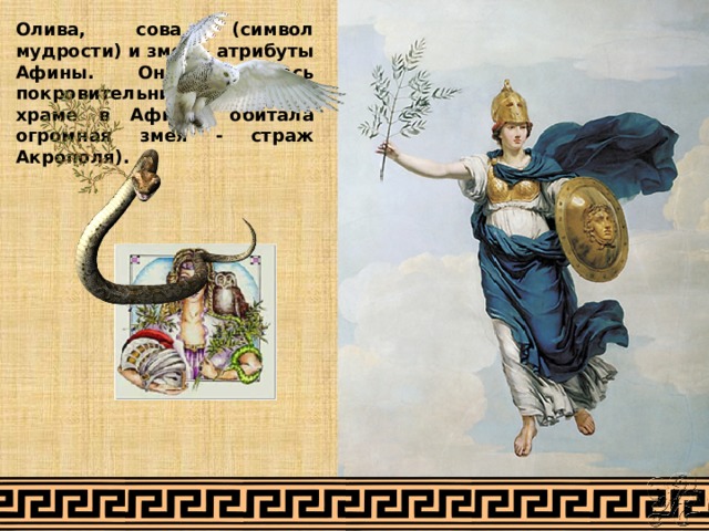 Олива, сова (символ мудрости) и змея – атрибуты Афины. Она являлась покровительницей змей (в храме в Афинах обитала огромная змея - страж Акрополя). 