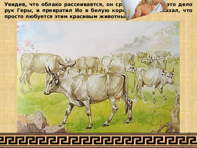 Увидев, что облако рассеивается, он сразу понял, что это дело рук Геры, и превратил Ио в белую корову. А Гере сказал, что просто любуется этим красивым животным.  
