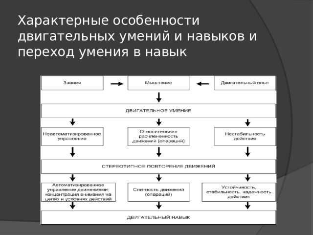 Характерные особенности двигательных умений и навыков и переход умения в навык 